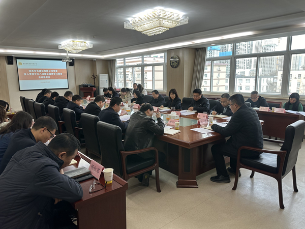 公司黨委召開深入貫徹中央八項(xiàng)規(guī)定精神學(xué)習(xí)教育啟動部署會